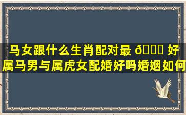 马女跟什么生肖配对最 🕊 好（属马男与属虎女配婚好吗婚姻如何 🐕 ）